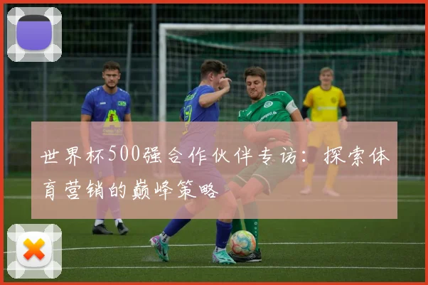 世界杯500强合作伙伴专访：探索体育营销的巅峰策略