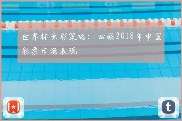 世界杯竞彩策略：回顾2018年中国彩票市场表现