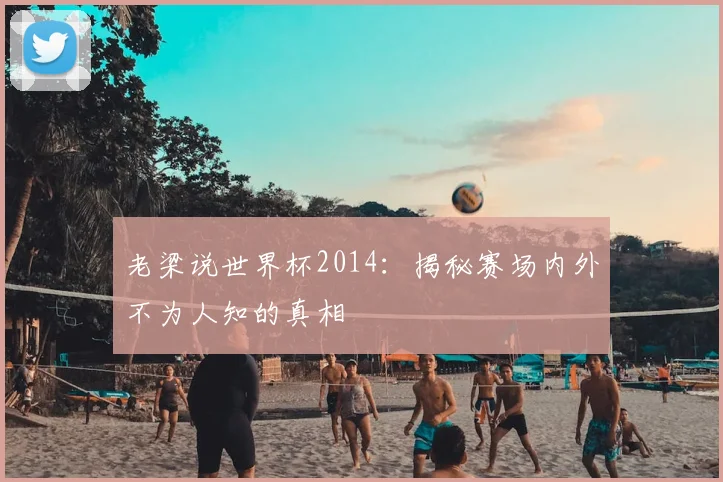 老梁说世界杯2014：揭秘赛场内外不为人知的真相