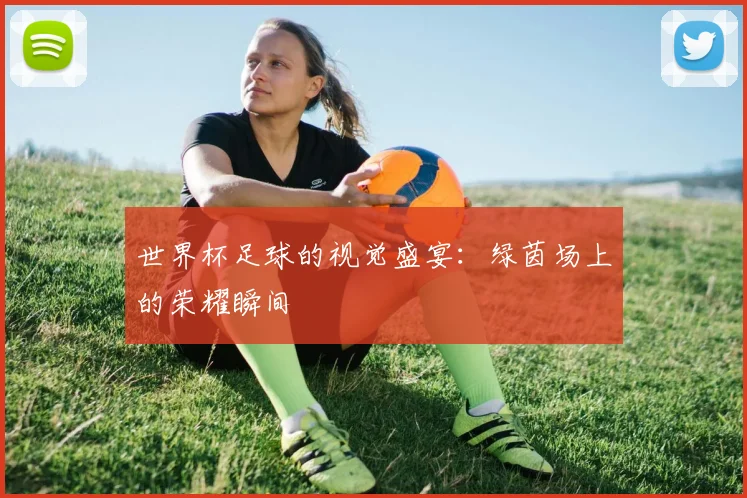 世界杯足球的视觉盛宴：绿茵场上的荣耀瞬间