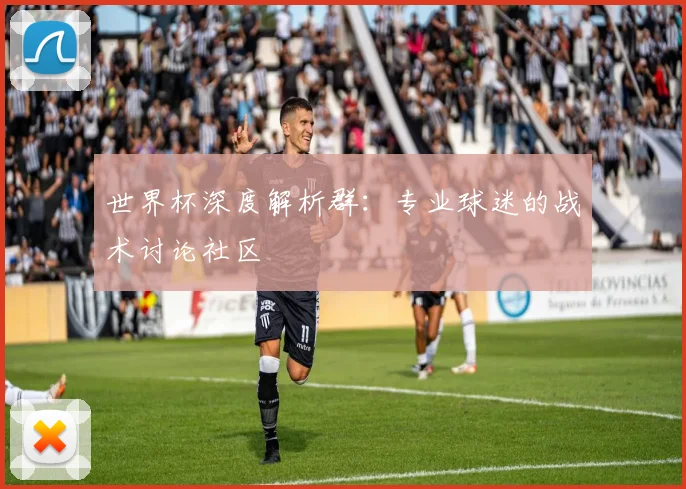 世界杯深度解析群：专业球迷的战术讨论社区